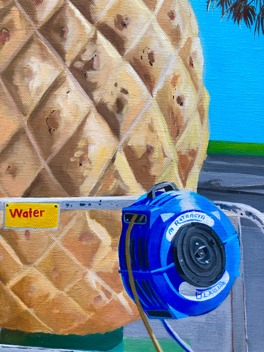 ‘The big pineapple' limited ed. print