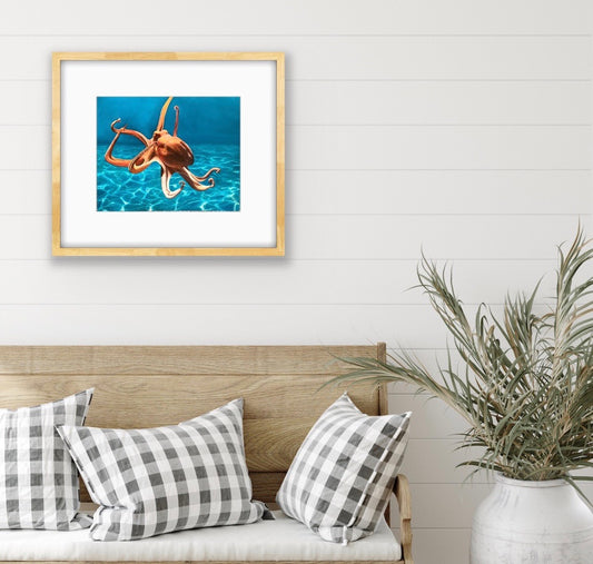 'Octopus' limited ed. print