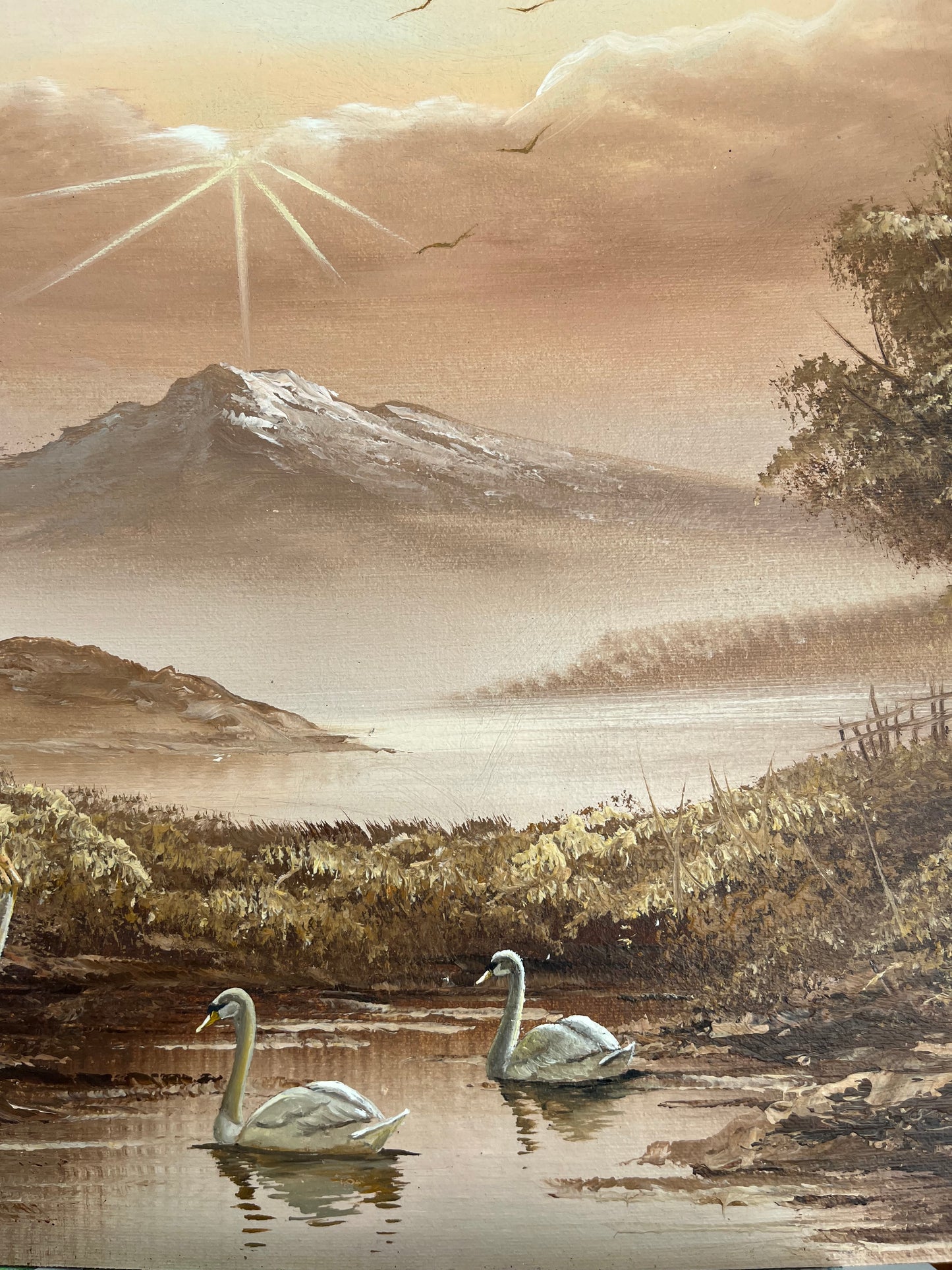 Swan lake