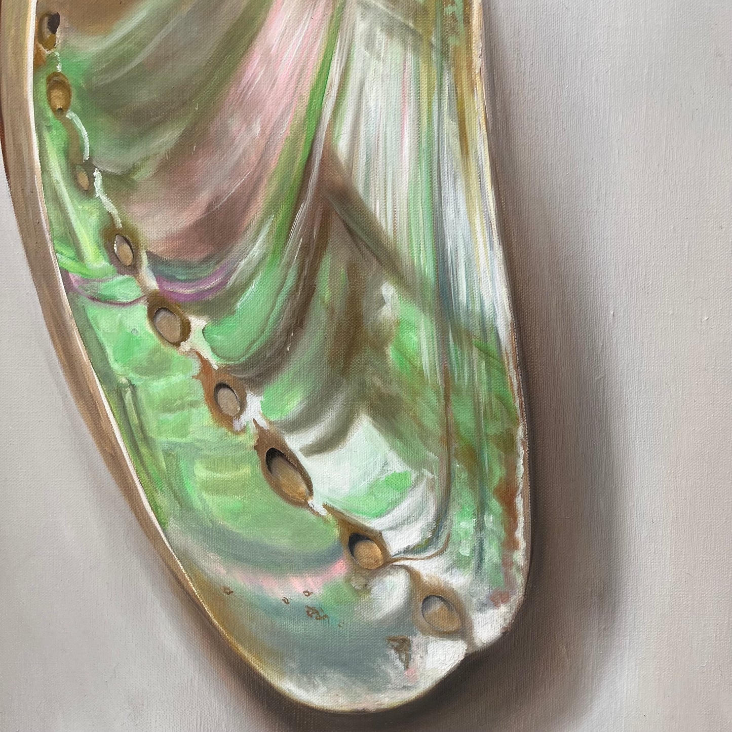 Abalone shell