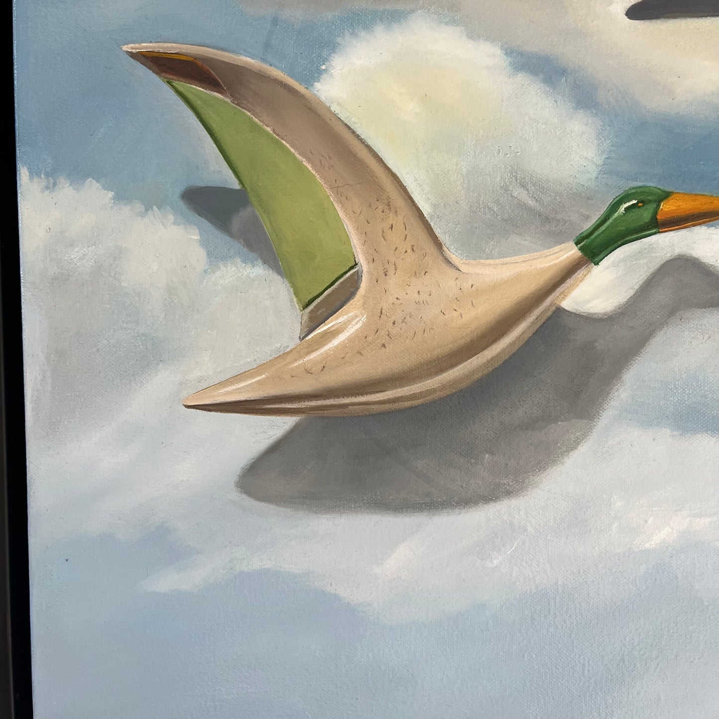 Flying ducks
