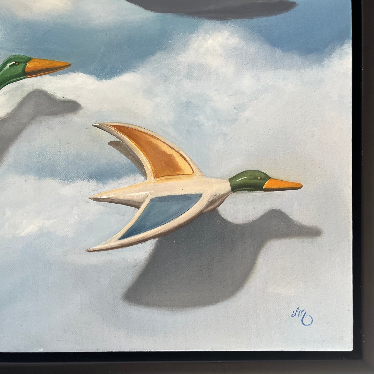 Flying ducks