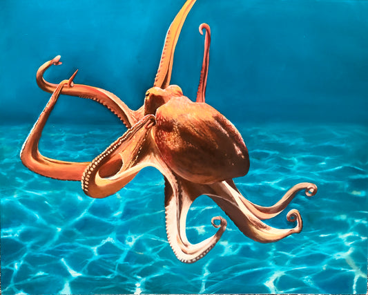 'Octopus' limited ed. print