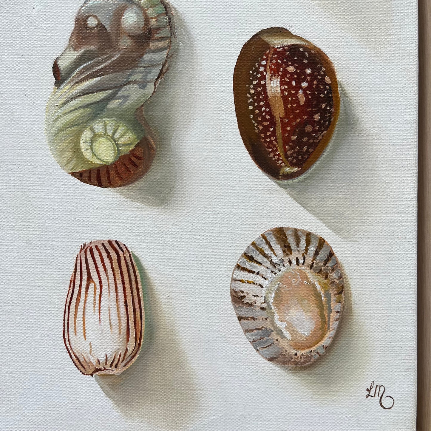 She sells sea shells