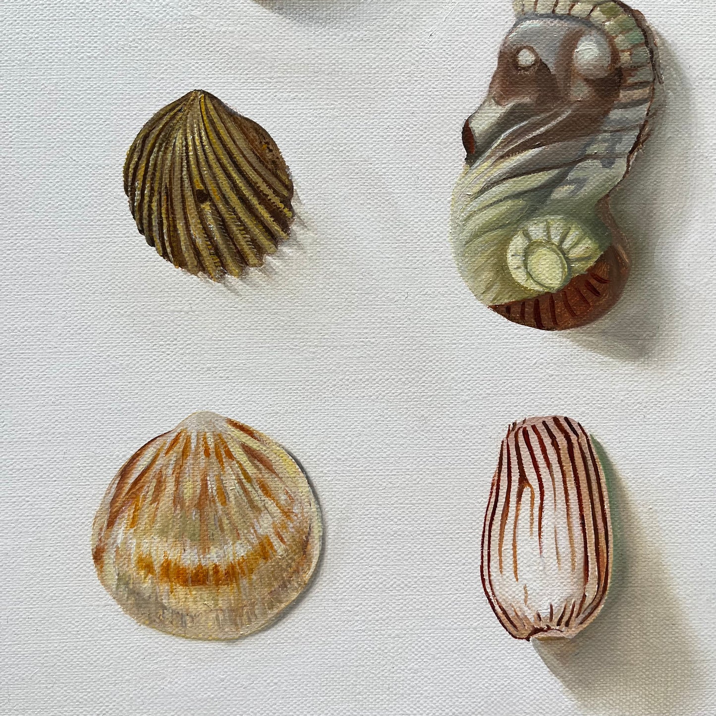 She sells sea shells