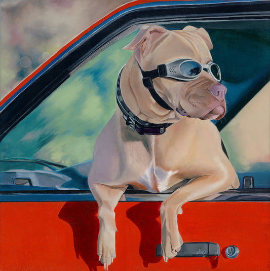 Surf Dog