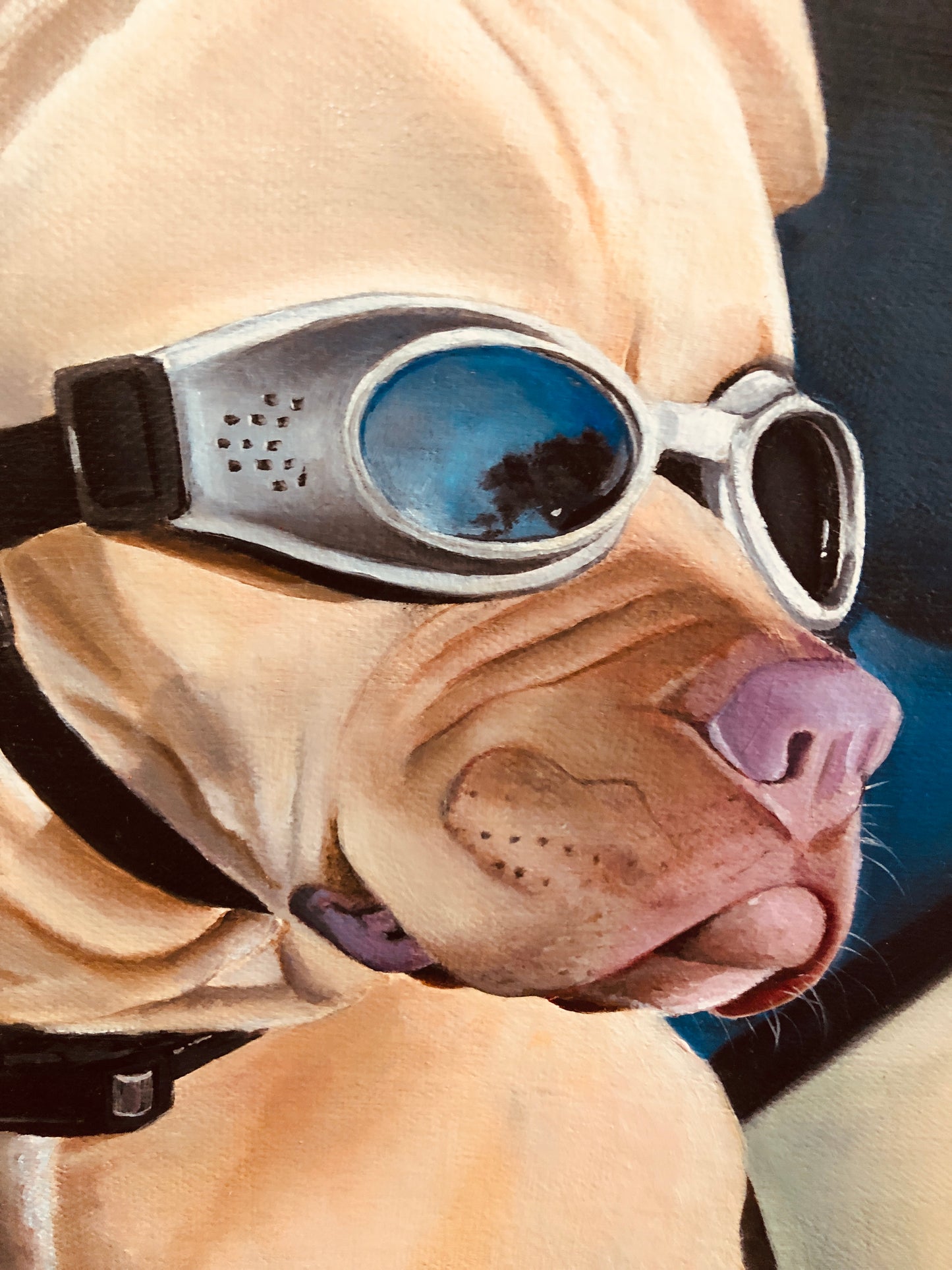 Surf Dog
