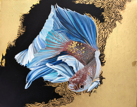 Fighting fish