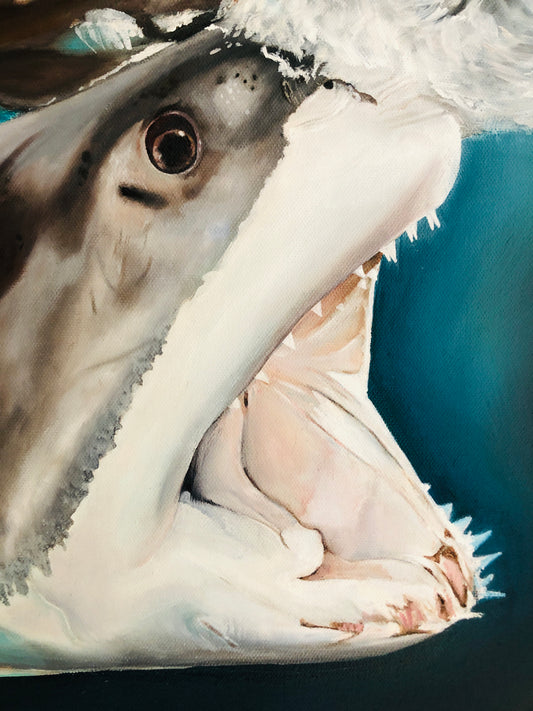 Great white!